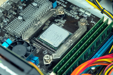 Fototapeta premium Close-up shot of the use of thermal paste on the processor. AMD FX 8350