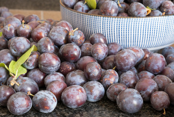 fresh damson plums in a bowl