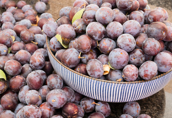 many organically grown, freshly picked damson plums in a bowl
