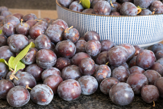 Fresh Damson Plums In A Bowl