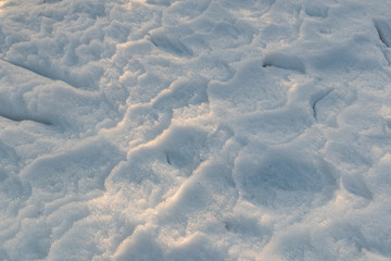Footprints on the winter carpet , on the white snow, on the layer of frozen crystal coating