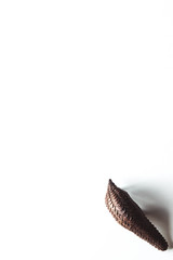 Armadillo toy isolated on a white background