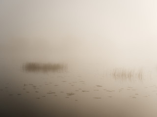 foggy morning on the river near the floodplain meadow