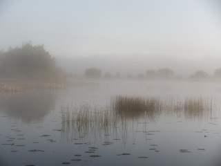 Obraz na płótnie Canvas foggy morning on the river near the floodplain meadow