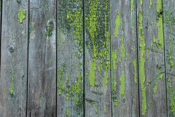 Textured old painted green color wooden board background.