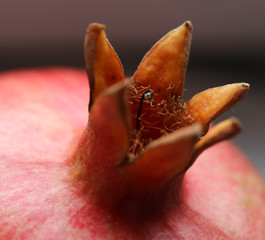 ripe pomegranate close-up photo