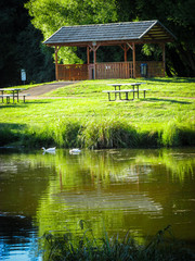 Fototapeta premium Park shelter at a nature reserve owned by the Rotary Club of Deloraine. Located adjacent to the Meander River and known as Wild Wood. It is a home to Tasmanian native fauna and is accessible on foot
