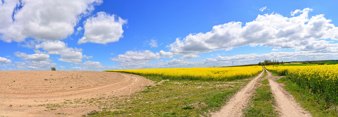 Full seamless panorama of 360 degrees clouds moving over a rape field on a sunny bright day....