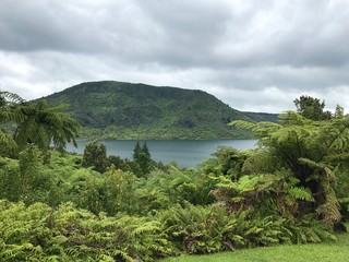 Fototapeta premium Green Lake, Neuseeland