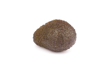 one green avocado isolated on a white background