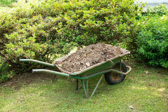 Wheelbarrow filled with soil or compost on a garden. Gardening tool
