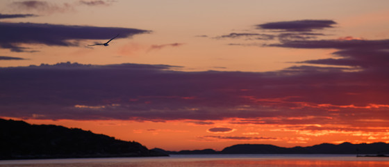 Dramatic red sunset sky in the sea