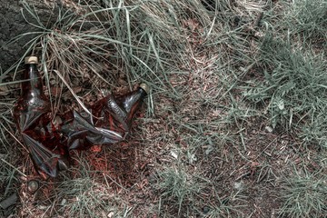 Obraz premium Environment and plastic garbage in woodland. Rubbish trash, waste in forest. Ecological problem with Empty used bottles of big city.