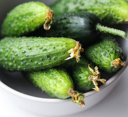 juicy fresh cucumbers in a white bowl close up