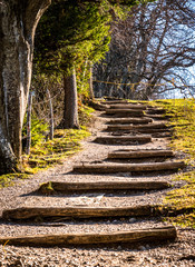 footsteps at a forest trail