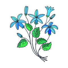 Obraz premium Flowers bluebells. Vector stock illustration eps 10. Hand drawing. 