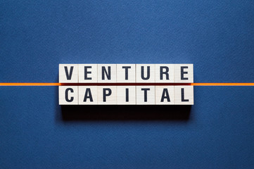 Venture Capital word concept on cubes