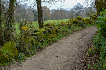 Camino de Santiago, Viaje, viajes, caminada, senderismo, naturaleza, paisaje, camino, paseo, bosque, campo,  
