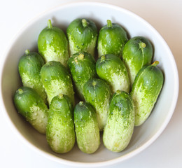 juicy fresh cucumbers in a white bowl close up