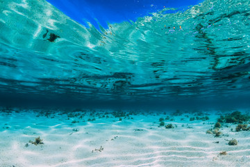 Fototapeta na wymiar Tropical turquoise ocean with sandy bottom underwater in Bahamas