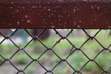 Naklejka premium water drops on the fence