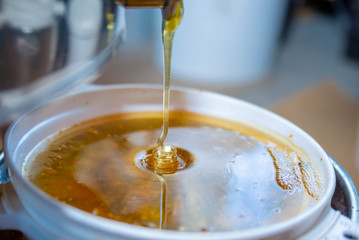 Dripping honey from honey extractor. Filtrating fresh honey through strainer