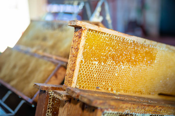 Stacked honey plasters, frames full of honey. Acquiring honey background. Beekeeper work