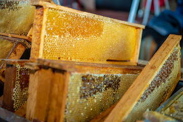 Stacked honey plasters, frames full of honey. Acquiring honey background. Beekeeper work