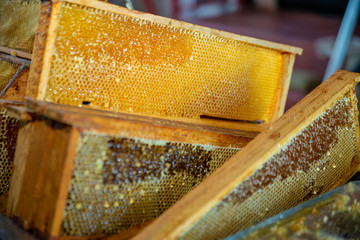 Stacked honey plasters, frames full of honey. Acquiring honey background. Beekeeper work