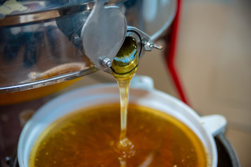 Dripping honey from honey extractor. Filtrating fresh honey through strainer