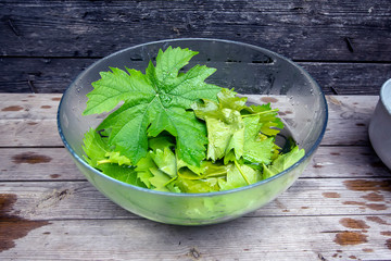 dolma from grape leaves. Caucasian kitchen. Homemade food. Cooking process. 