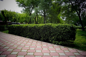 path in the park