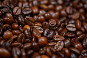 coffee beans close up
