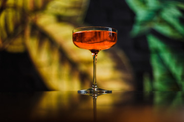 An orange cocktail in coupe glass
