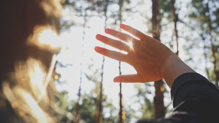 Closeup photo of sun shining through female fingers and hands in the forest