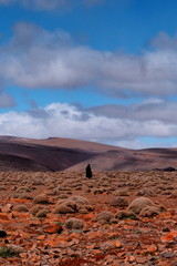 Lone sheperd on the Atlas Mountains