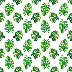 Jungle digital pattern with monstera palm leaves on white background. Seamless summer tropical fabric design. Hand drawn illustration