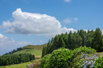 Walk on the Azores archipelago. Discovery of the island of Sao Miguel, Azores.