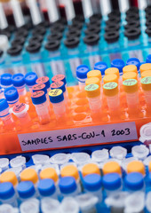 Vials with samples of SARS-COV-1 Covid-19 in a research laboratory, conceptual image