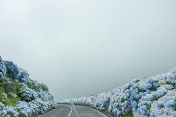 Walk on the Azores archipelago. Discovery of the island of Sao Miguel, Azores.sete citades