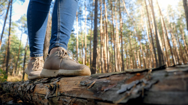 Closeup image of female tourist walking on fallen tree log and crossing ravine in forest