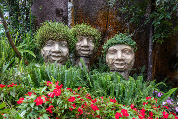 Obraz premium Fern in decorative pot at vietnam