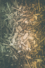 Sticks, stones and feathers