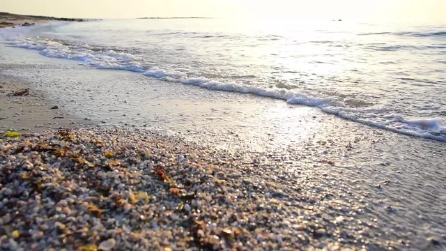 closeup footage of sea waves wahing off seashells and seaweed on the golden sand at beach. Sunset. 
Sunrise on the Persian Gulf. View of the waves in the Arab country. Golden hour