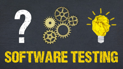 Software Testing 