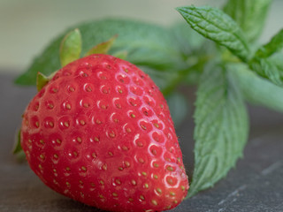 closeup of a large ripe strawberry, nestled between mint leaves © gpriccardi