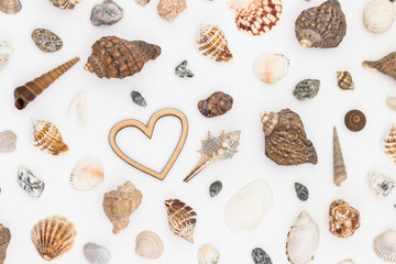 Sea shells on white background with wooden heart
