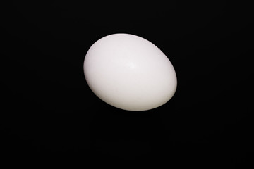 Obraz premium white chicken egg rests on a black background.