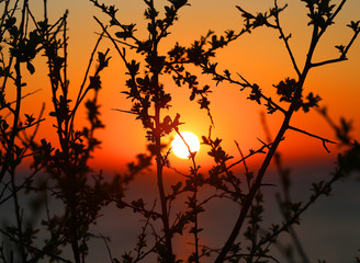 Photo background sunset on the sea