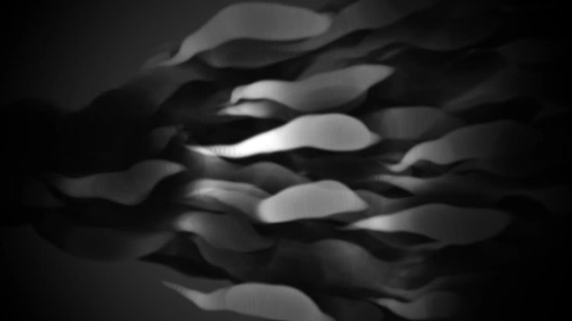 black and white abstract trapcode animation 
